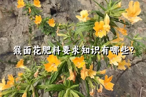 猴面花肥料要求知识有哪些？