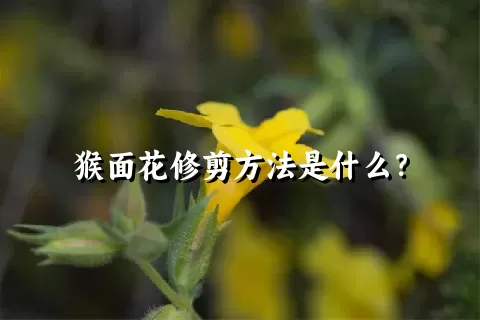 猴面花修剪方法是什么？