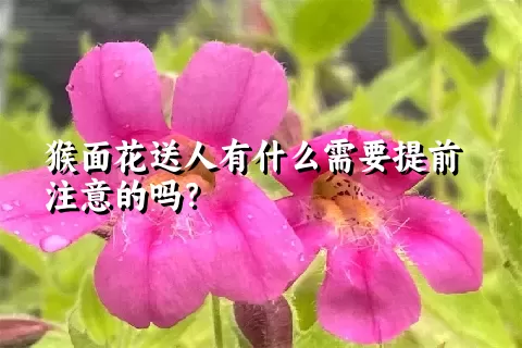 猴面花送人有什么需要提前注意的吗？