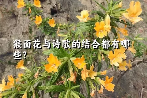 猴面花与诗歌的结合都有哪些？