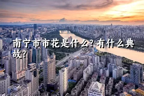 南宁市市花是什么？有什么典故？