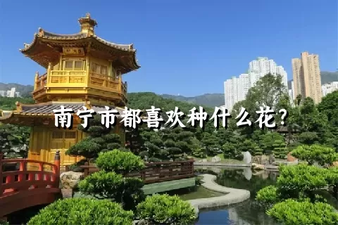 南宁市都喜欢种什么花？