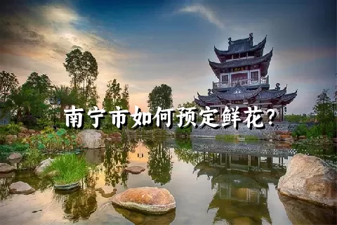 南宁市如何预定鲜花？