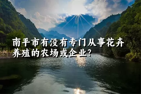 南平市有没有专门从事花卉养殖的农场或企业？