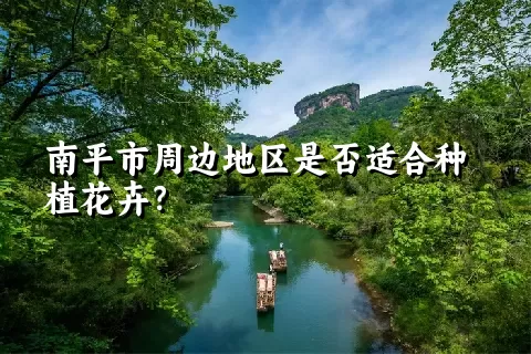 南平市周边地区是否适合种植花卉？