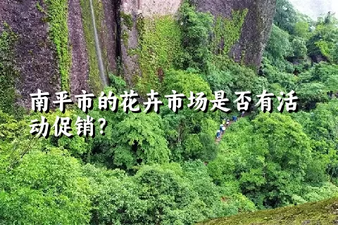 南平市的花卉市场是否有活动促销？