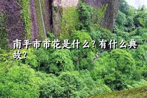 南平市市花是什么？有什么典故？