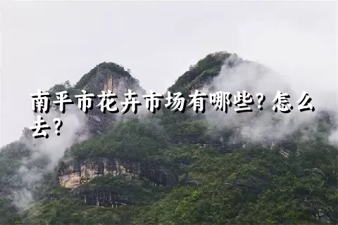 南平市花卉市场有哪些？怎么去？