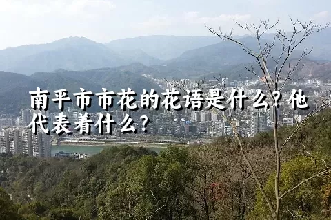 南平市市花的花语是什么？他代表着什么？