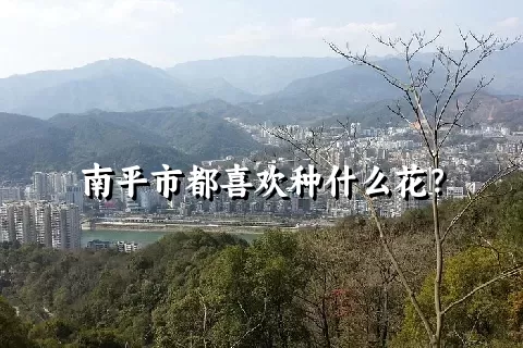 南平市都喜欢种什么花？