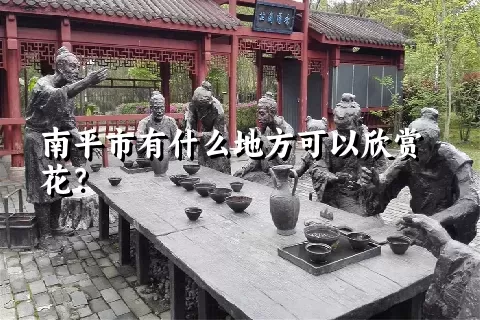 南平市有什么地方可以欣赏花？