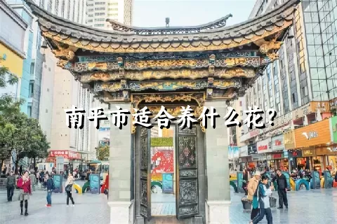 南平市适合养什么花？