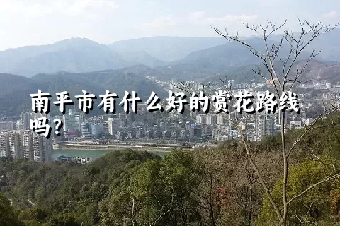 南平市有什么好的赏花路线吗？