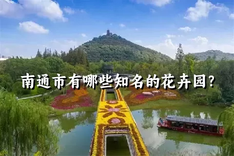 南通市有哪些知名的花卉园？