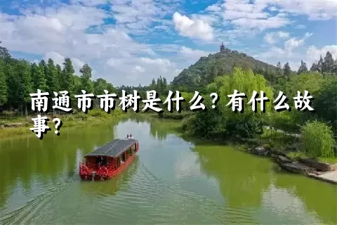 南通市市树是什么？有什么故事？