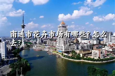 南通市花卉市场有哪些？怎么去？