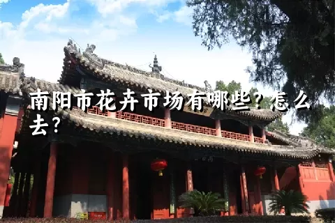 南阳市花卉市场有哪些？怎么去？