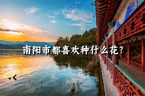 南阳市都喜欢种什么花？