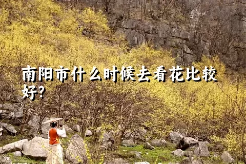 南阳市什么时候去看花比较好？