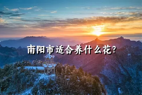 南阳市适合养什么花？