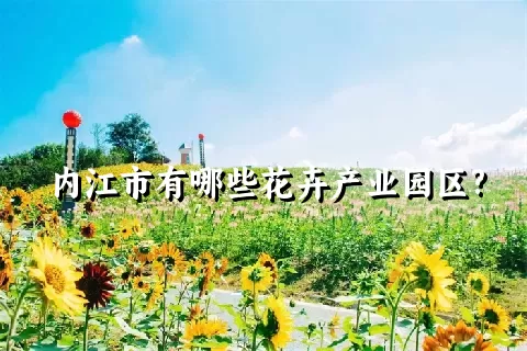 内江市有哪些花卉产业园区?