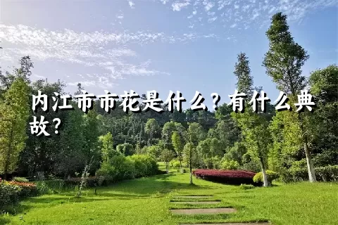 内江市市花是什么？有什么典故？