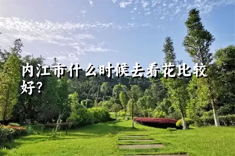 内江市什么时候去看花比较好？