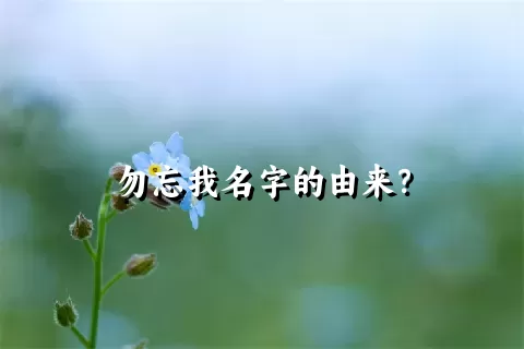 勿忘我名字的由来？