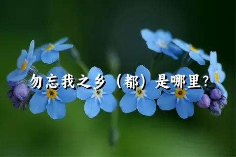 勿忘我之乡（都）是哪里？