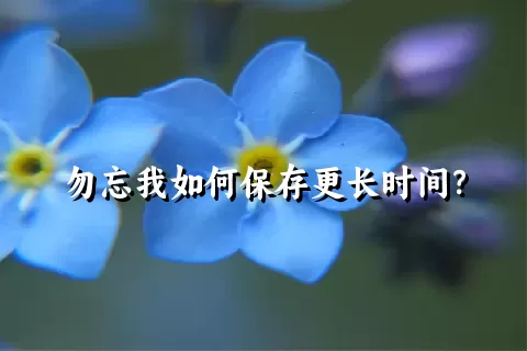 勿忘我如何保存更长时间？