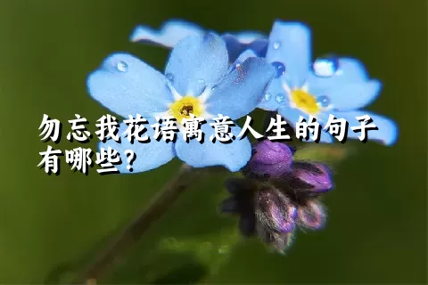 勿忘我花语寓意人生的句子有哪些？