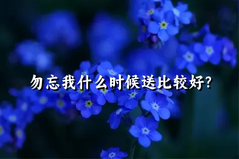 勿忘我什么时候送比较好？