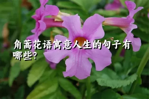 角蒿花语寓意人生的句子有哪些？