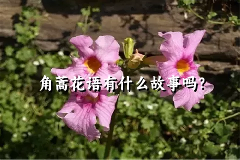 角蒿花语有什么故事吗？