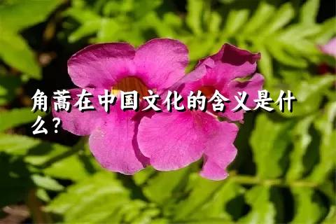 角蒿在中国文化的含义是什么？