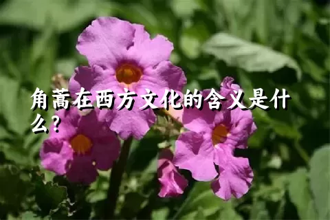 角蒿在西方文化的含义是什么？