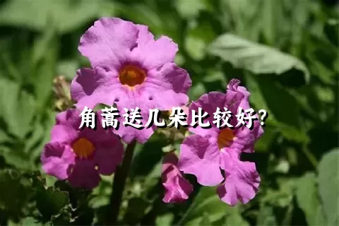 角蒿送几朵比较好？