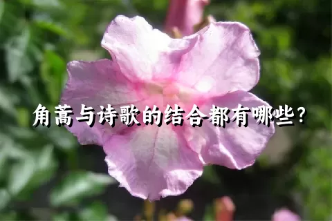 角蒿与诗歌的结合都有哪些？