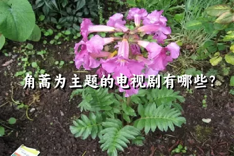 角蒿为主题的电视剧有哪些？