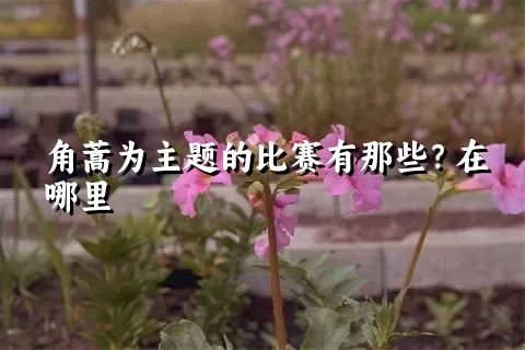 角蒿为主题的比赛有那些？在哪里