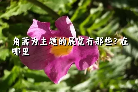 角蒿为主题的展览有那些？在哪里