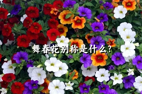 舞春花别称是什么？