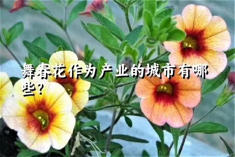 舞春花作为产业的城市有哪些？