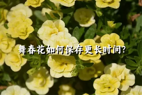 舞春花如何保存更长时间？