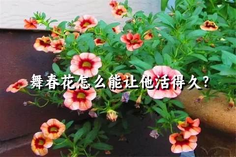 舞春花怎么能让他活得久？