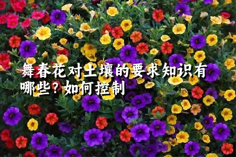 舞春花对土壤的要求知识有哪些？如何控制