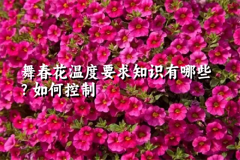 舞春花温度要求知识有哪些？如何控制