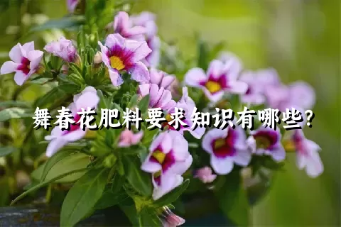 舞春花肥料要求知识有哪些？