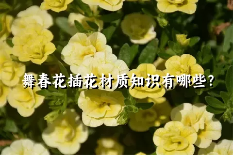 舞春花插花材质知识有哪些？