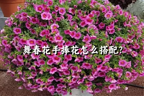 舞春花手捧花怎么搭配？